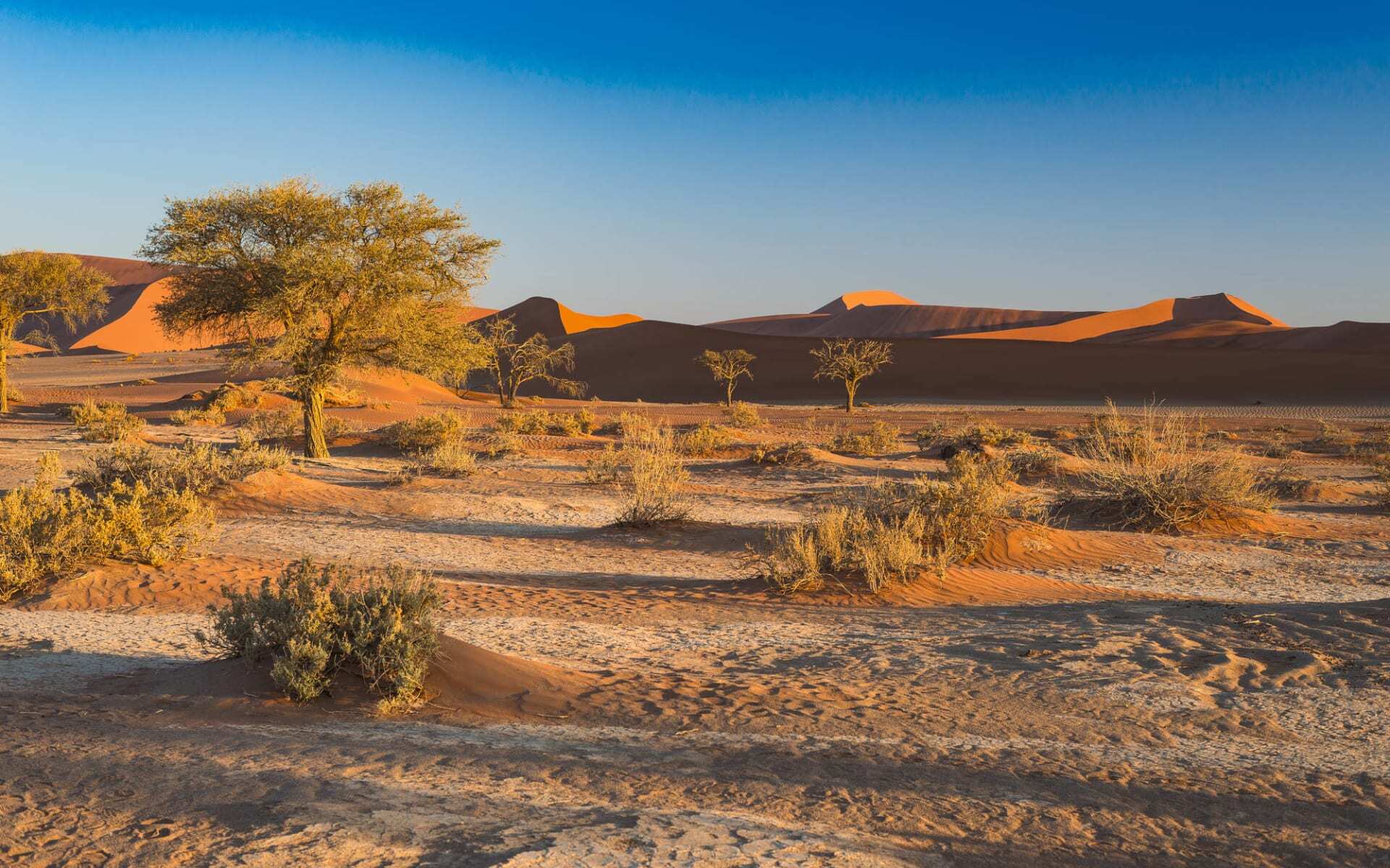 namibia-sossusvlei-duenen-4693